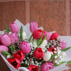 Tulipanes - 30 varas